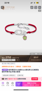 China Replica Dior Bracelets 22usd Only